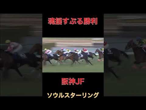 魂揺すぶる勝利ソウルスターリング【阪神JF】#競馬#阪神ジュベナイルフィリーズ