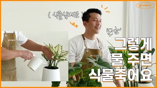 절대 죽지않는 식물 물주는 방법 ㅣ꽃집사장님이 알려드려요ㅣ초보들의 실수✔️ BEST