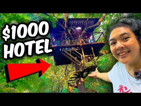 I Stayed at Japan's Treehouse Hotel