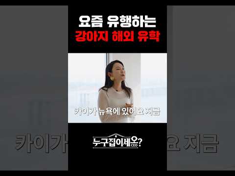 요즘 부자들은 뉴욕으로 강아지 유학을 보낸다고..?