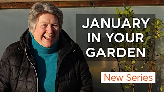 What to do in garden January | Monthly gardening guide