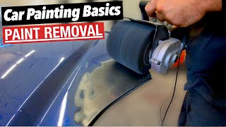 The DIY ANSWER to OLD Paint Removal!