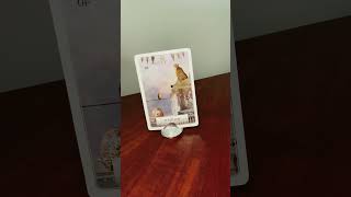 #385 Pisces - Wisdom of the Oracle Message, Co create