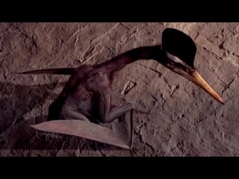 Flying Monsters [2011] - Ichnotaxon Pterosaur Screen Time