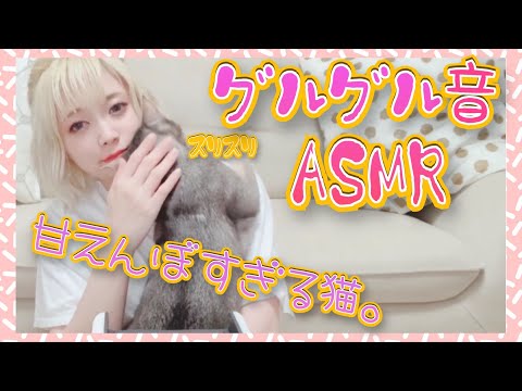 【声優ASMR】猫と戯れるだけ。グルグル音。Playing with my cat　고양이와 놀기