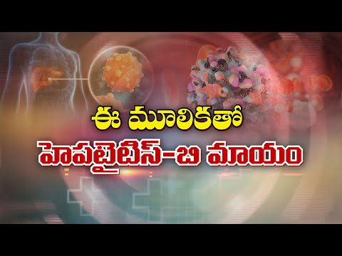 Ayurveda Treatment for Hepatitis B  | Sukhibhava | 8th Jan 2025 | ETV Life