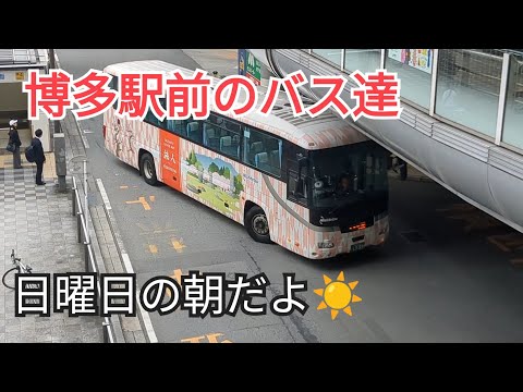 [Sunday morning☀] Buses in front of Hakata Station "Viewed from above"④-3🤗