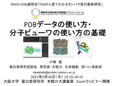 「PDBデータの使い方・分子ビューワの使い方の基礎」川端 猛（蛋白質研究奨励会・大阪大）