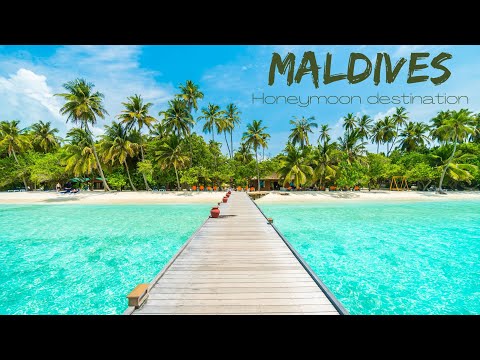 Things to do in The Maldives | Travel tips