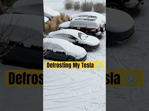 Defrosting My Tesla From The Comfort Of My Couch 😏❄️