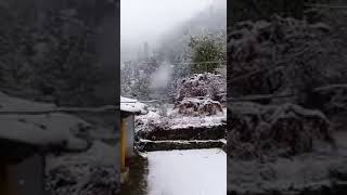 Snowfall in hills#snow #snowfall #chillyweather #Rasta cafe