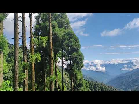 Mane Bhanjang, Darjeeling | Gateway to Singalila National Park