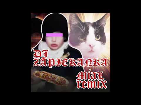 DJ ZAPIEKANKA - MIAŁ REMIX