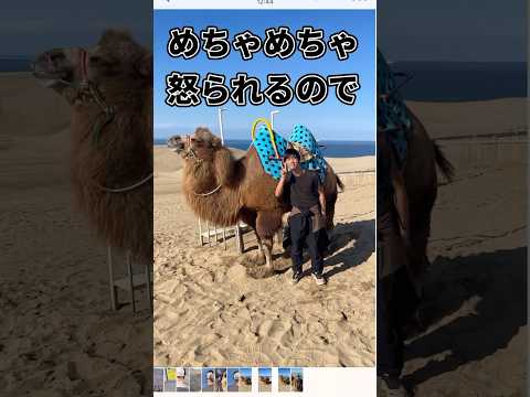 鳥取砂丘でみんなが怒られない為の動画