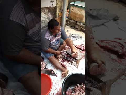 cobia fish cutting II कोबिया फिश कटिंग #koliwada #shorts