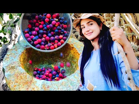 Living In An Iranian Village: Cooking Delicious Food With wild Figs