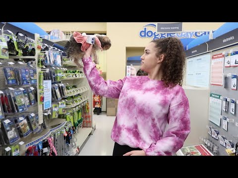 Shopping Spree For Sierra's NEW Puppy!