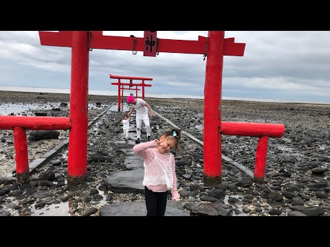 Life In Japan SAGA with kids 🇯🇵 Arisu and Raian ⛩ Japanese Parks and Adventures [Light Smit]