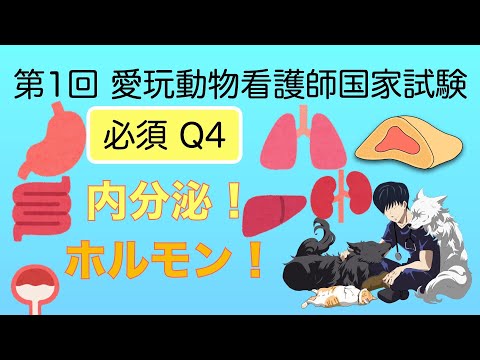 Q4 第1回 愛玩動物看護師国家試験 必須