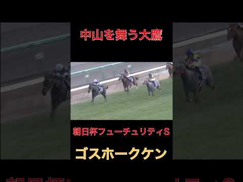 中山を舞う大鷹ゴスホークケン【朝日杯FS】#競馬#朝日杯フューチュリティステークス