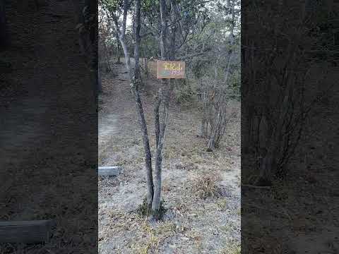 【山頂シリーズ】たつの市　宝記山山頂