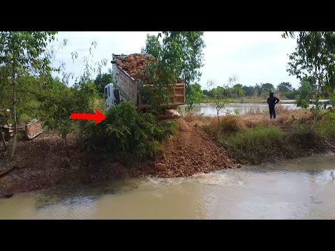 Amazing work resize road to build new use soil delete canal by dozer pour tree with dump truck