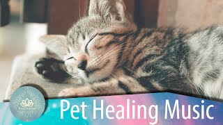 [Cat Special] Purring Healing Music#04