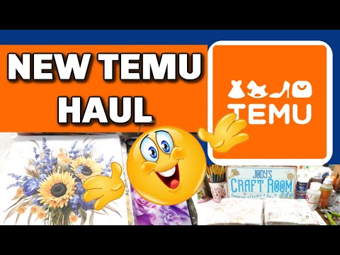 Check Out My Amazing 6/23/24 Temu Haul!