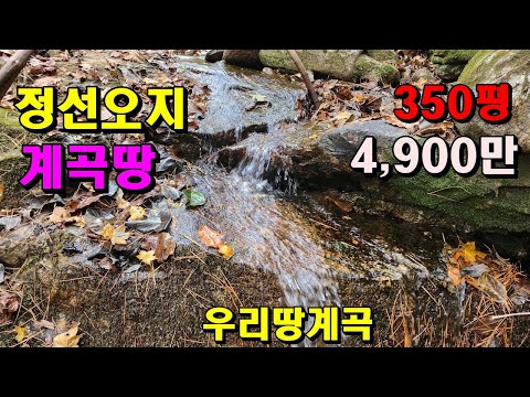 정선오지의 청정계곡길게 접한땅/350평 4,900만원/토목필요없는 완전평지밭/정선부동산매매/정선토지매매