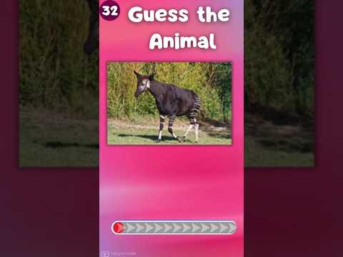 Guess 50 Animals in Just 3 Seconds – Can You Do It?|The Quiz Show