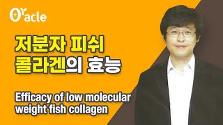 저분자 피쉬 콜라겐의 효능 (fish collagen)