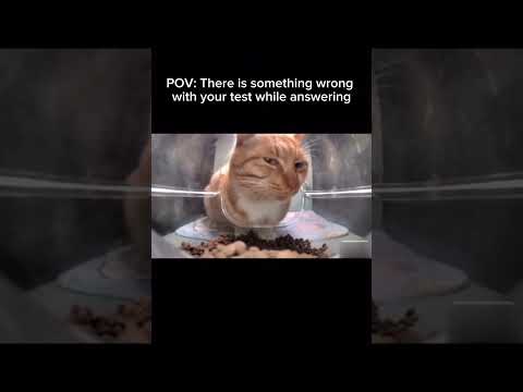 POV: There is something wrong with your test while answering #memes #shortvideo #shorts