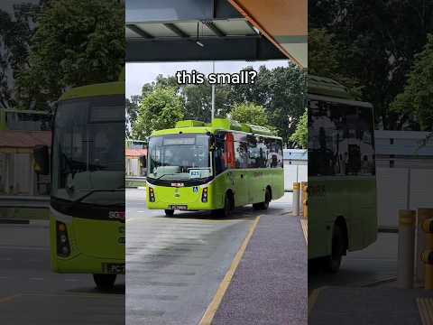 singapore's smallest bus #singapore #bus