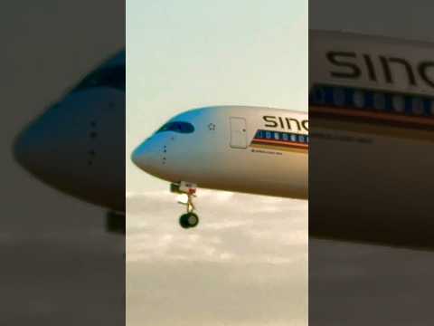 Singapore Airlines landing at Barcelona #youtubeshorts #planespotting #shorts #short #aviation