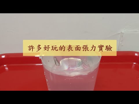 許多好玩的表面張力實驗｜親子實驗｜物理實驗｜親子遊戲｜Surface Tension