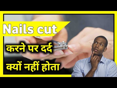 Nails cut करने पर दर्द क्यों नहीं होता | Unite Fact | #short #Short