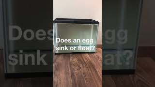 Does an egg sink or float? #shorts #sinkorfloat #coolscienceexperiments #stem