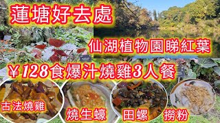 蓮塘站￥128古法燒雞3人餐，爆汁脆皮燒雞，燒生蠔...｜仙湖站睇紅葉，弘法寺 ｜蓮塘好去處