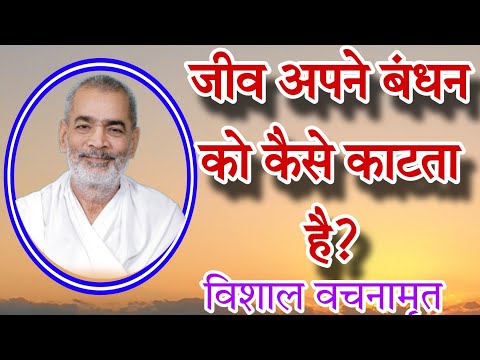 जीव अपने बंधन को कैसे काटता है? विशाल वचनामृत 63