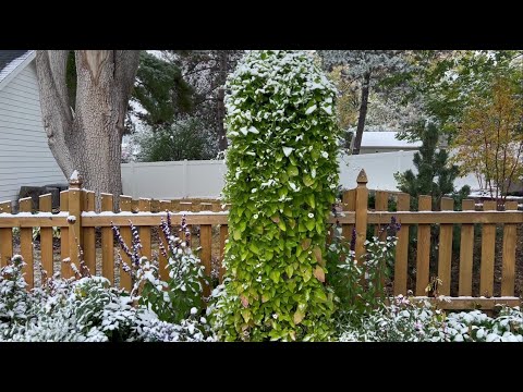 Get Your Garden Ready for Winter!