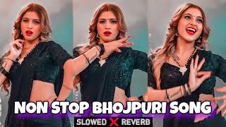 Non stop bhojpuri slowed reverb song | non stop bhojpuri song|Bhojpuri song mashup slowed and reverb