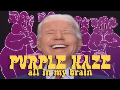 Biden Band - Purple Haze [The Jimi Hendrix Experience]