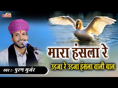 मारा हंसला रे उड़जा हंसला वाली चाल | Puran Gurjar | Puran Gurjar | Chetawani Bhajan | Pakhand