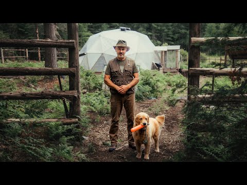 Planting 300 Potatoes in the Forest, Early June Forest Garden Tour