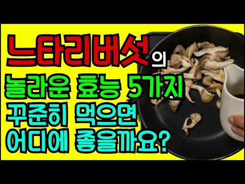 느타리버섯의 놀라운효능 5가지  꾸준히 먹으면 어디에 좋을까요?