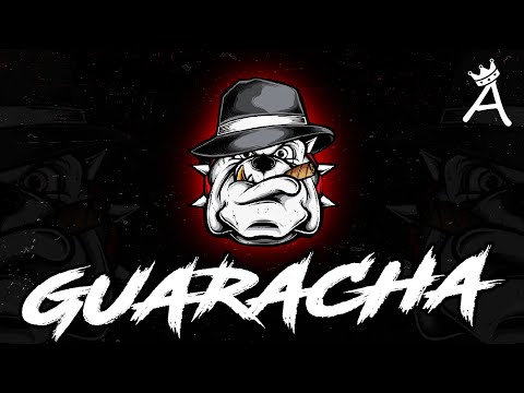 PRIVITY 💥 GUARACHA 2024 - ALAR3 (Aleteo, Zapateo, Guaracha)