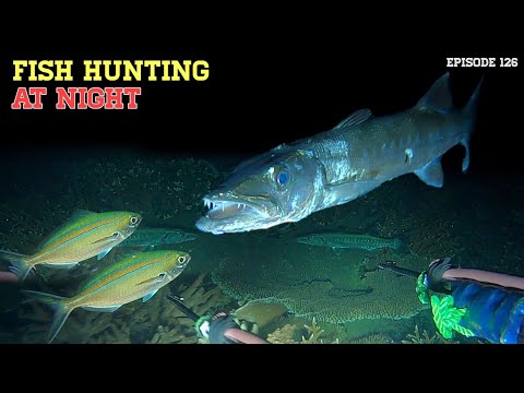 NIGHT SPEARFISHING EPISODE 126 | FISH HUNTING AT NIGHT