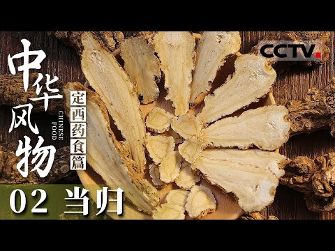 《中华风物》02 爱妻心切的丈夫深山采药 三年归来却发现“当归”已成“当嫁”！——定西药食篇【CCTV纪录】