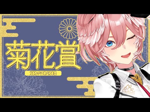 【 菊花賞 】最も強い馬が勝つ”菊花賞”！！どの馬が京都3000mを制するのか⁉【鷹嶺ルイ/ホロライブ】