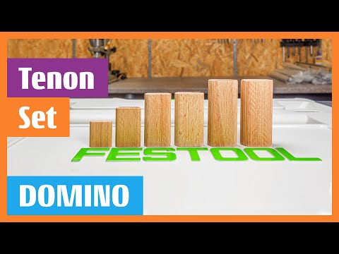 Festool DOMINO tenon assortment beech range DS 4/5/6/8/10 1060 BU Get started immediately